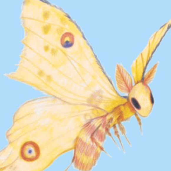 Meet your Posher, Cassie - Picture 1 of 1